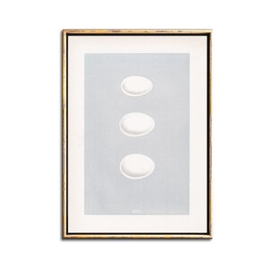 May include: A framed illustration of three white eggs stacked vertically on a light blue background. The bottom egg has the word 