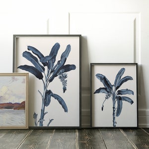 May include: Three framed prints of blue banana leaf illustrations on a white background. The prints are in black frames and are hanging on a white wall.