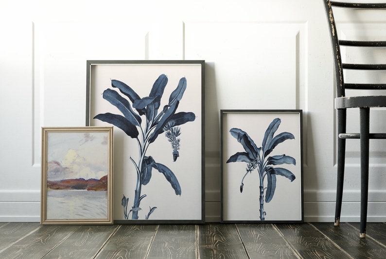May include: Three framed prints of blue banana leaf illustrations on a white background. The prints are in black frames and are hanging on a white wall.