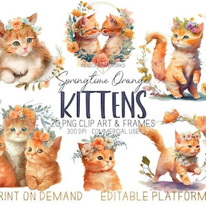 Schattige kittens clipart-20 schattige oranje babykatten met lente bloemen hoofddeksels aquarel grafische PNG-elementen voor COMMERCIEEL GEBRUIK