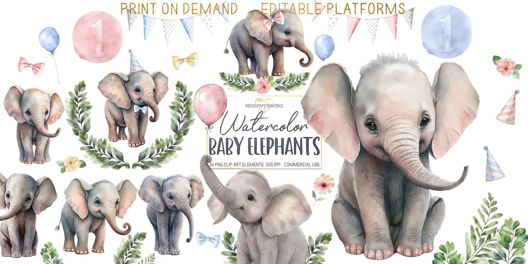 Baby Elephant Watercolor Art Clipart- 39 PNG Cute Elephants With ...