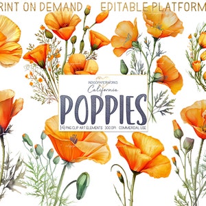 Clipart coquelicots de Californie aquarelle - 14 jolis bouquets de coquelicots, couronne, bouquet de pots Mason, éléments graphiques PNG transparents à usage commercial