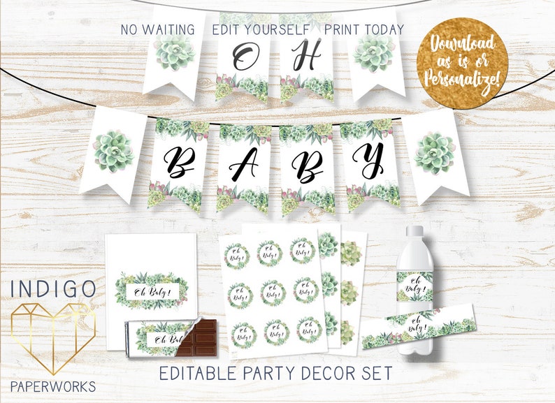 Succulent Baby Shower Decorations Pack Greenery Baby Shower Etsy
