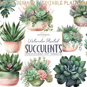 Watercolor Succulent Garden Clipart- 14 pretty potted desert succulents arrangement transparent PNG graphic elements for COMMERCIAL USE