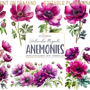 Watercolor Magenta Anemone Flower Clipart- 14 pretty flower bunches & mason jar bouquet transparent PNG graphic elements for COMMERCIAL USE