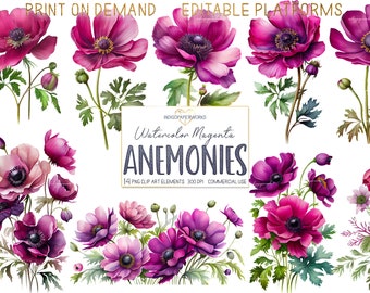 Watercolor Magenta Anemone Flower Clipart- 14 pretty flower bunches & mason jar bouquet transparent PNG graphic elements for COMMERCIAL USE