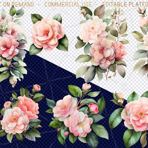 Watercolor Blush Camellia Clipart- 14 Pretty Camellia Flower Bouquet ...