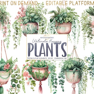 Clipart de plantas penduradas em aquarela - 14 lindos arranjos de plantas penduradas em vasos para ambientes internos, elementos gráficos PNG transparentes para USO COMERCIAL