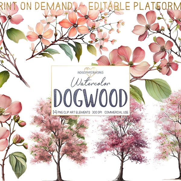 Watercolor Dogwood Clipart- 14 pretty dogwood blossom, dogwood branches & dogwood tree transparent PNG graphic elements for COMMERCIAL USE