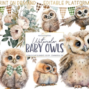 Bébé hibou aquarelle Art Clipart - 39 PNG mignon bébé hibou clipart avec fleurs, banderoles et éléments graphiques de verdure pour un usage commercial