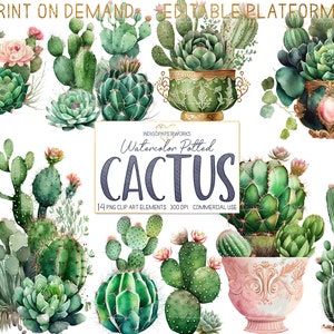 Watercolor Cactus Garden Clipart- 14 pretty potted desert cactus and cactus arrangement transparent PNG graphic elements for COMMERCIAL USE
