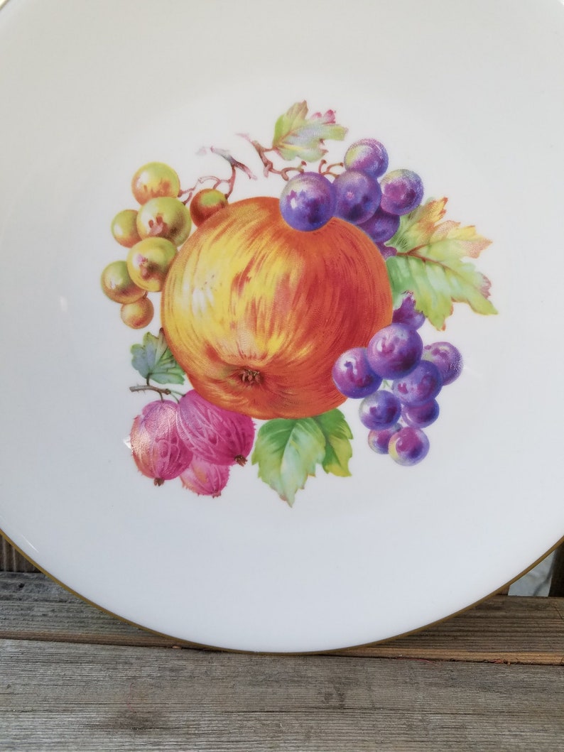 Germany \u2013 c 1960 \u2013 Excellent Vintage Condition Decorative Plate with Fruit \u2013 Bavaria