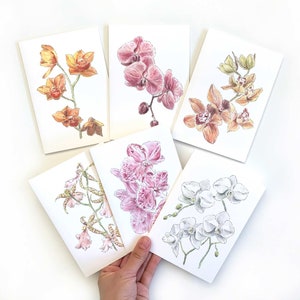 Orchid Card Pack of 6 // Botanical Cards / Floral Greeting Card Set / Watercolour flowers / Orchids / Blank Cards / Pretty Cards