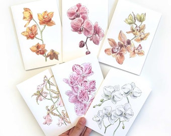 Orchid Card Pack of 6 // Botanical Cards / Floral Greeting Card Set / Watercolour flowers / Orchids / Blank Cards / Pretty Cards