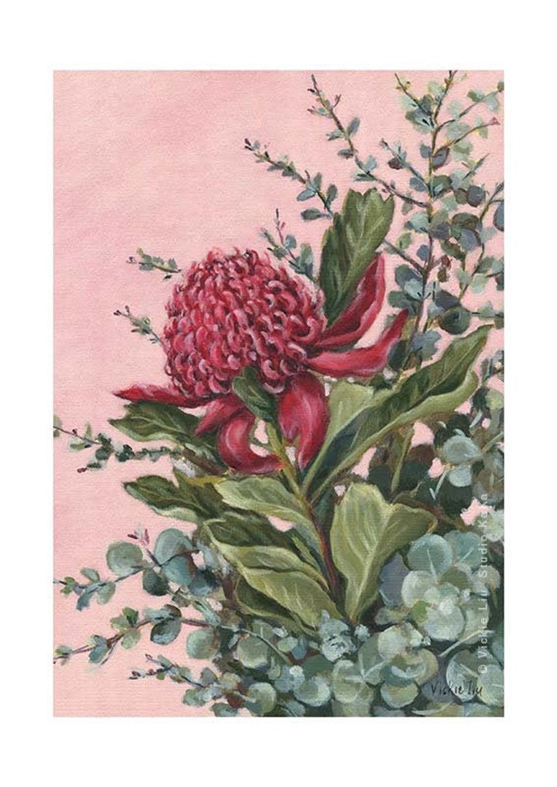 Waratah Art Print Australian Flower Print Australian Natives Botanical Print Pink Floral Artwork Limited Edition Blooms