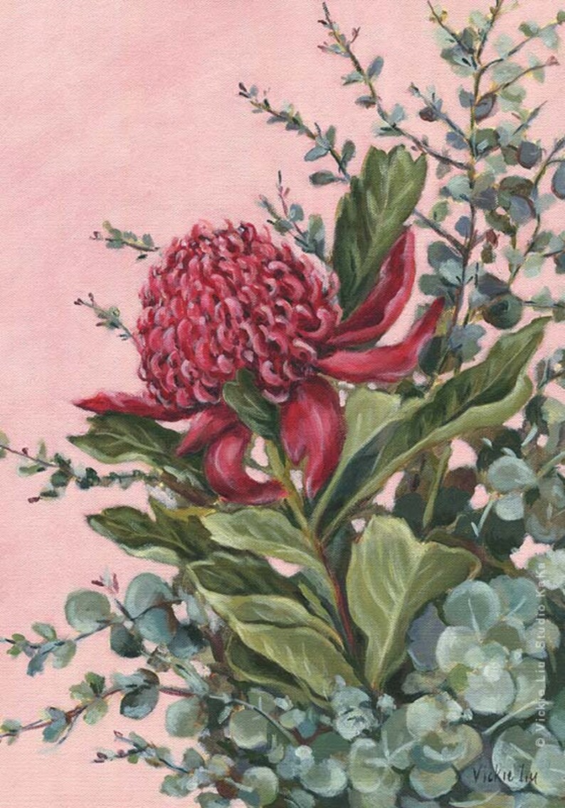 Waratah Art Print Australian Flower Print Australian Natives Botanical Print Pink Floral Artwork Limited Edition Blooms