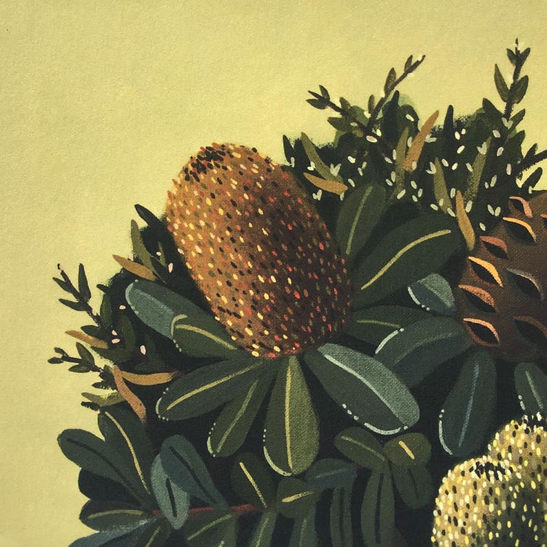 Australian Native Botanical Print / Green Banksia Artwork / Floral Art / Australian Gifts / Australian Wildflower print / Australiana image 2
