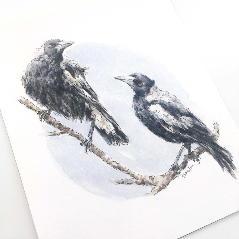 Magpie Bird Art Print // Australian Wildlife Print, Watercolour Illustration, Magpie painting, Bird Wall Print, Black Bird, Mothers Day Gift image 3