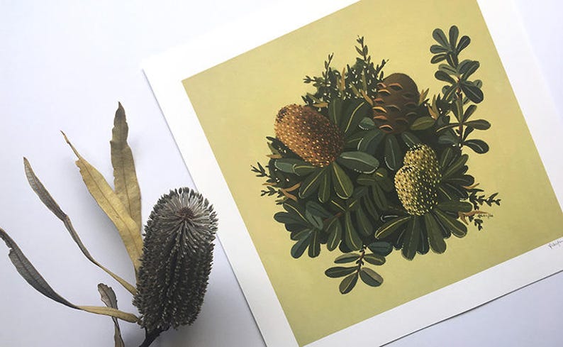 Australian Native Botanical Print / Green Banksia Artwork / Floral Art / Australian Gifts / Australian Wildflower print / Australiana image 1