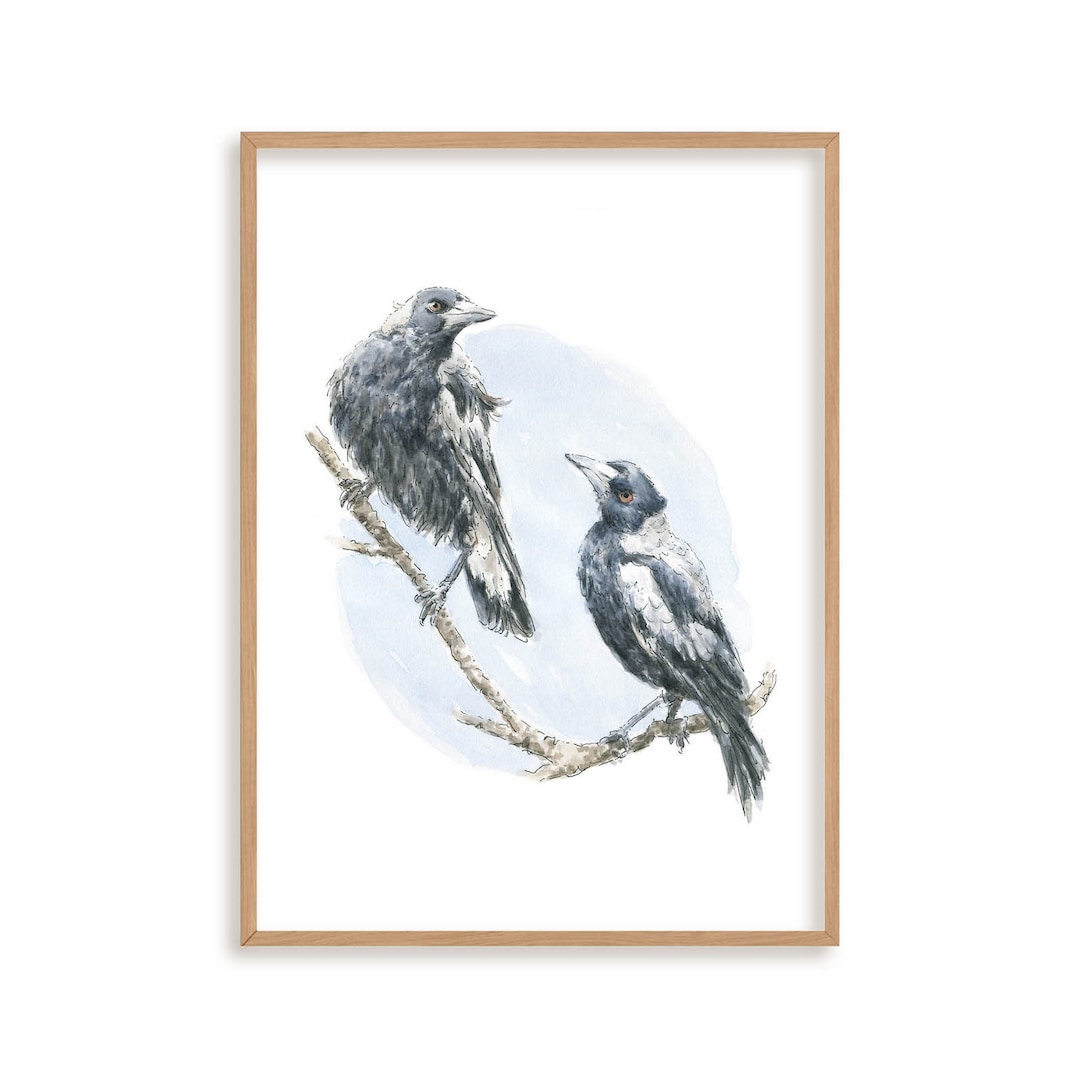 Magpie Bird Art Print // Australian Wildlife Print, Watercolour ...
