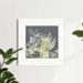 see more listings in the Botanical Prints Ltd Ed section