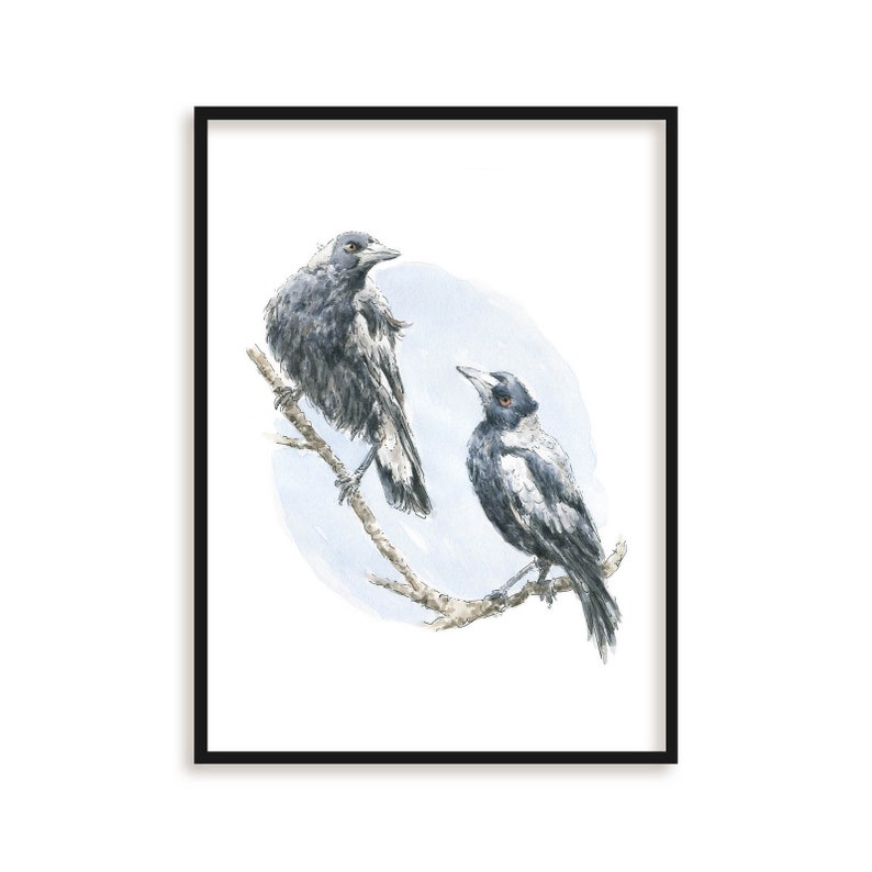 Magpie Bird Art Print // Australian Wildlife Print, Watercolour Illustration, Magpie painting, Bird Wall Print, Black Bird, Mothers Day Gift image 5