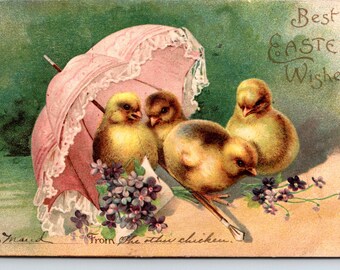 Vintage 1906 Best Easter Wishes Greetings Embossed Small Chicks Chickens Umbrella Flowers Cute Postcard