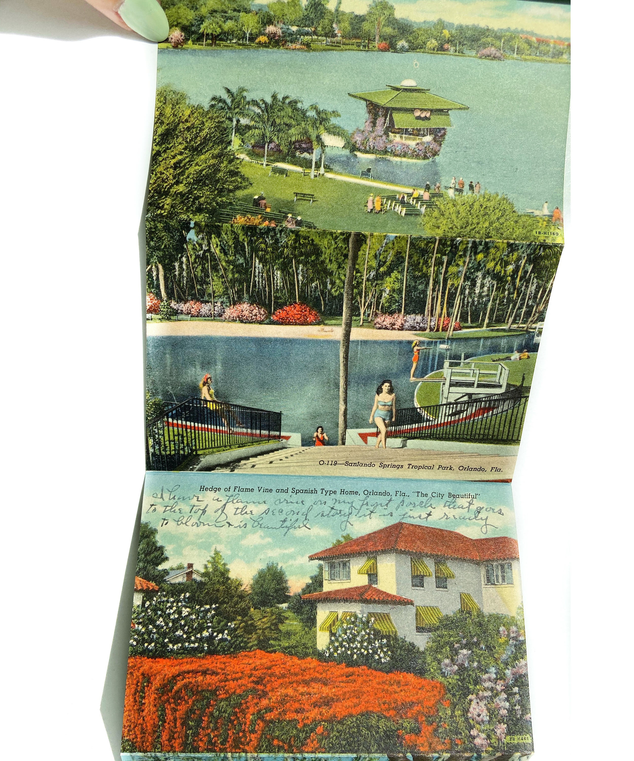Vintage Orlando Florida Linen Postcard Packet - 1949 Souvenir - Etsy