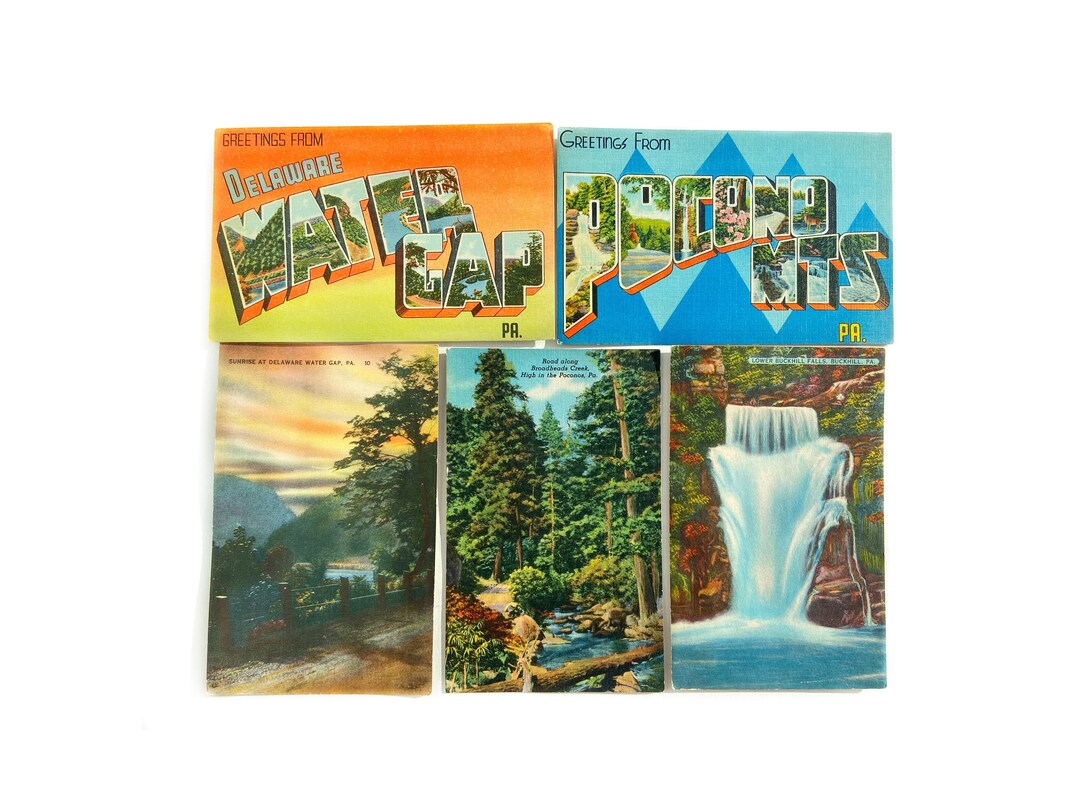 Paire De Permis De Pêche Vintage 1952 Pennsylvanie (USA) - Séquentiels - Collection