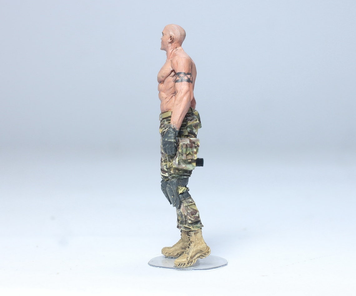 custom painted forces