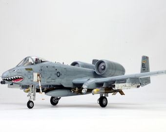 USAF A-10 Thunderbolt II 1:48 Pro Built Model (built and