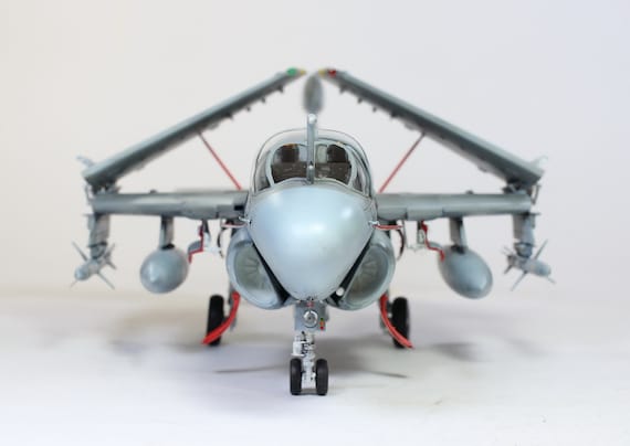 アメリカ海軍 EA-6B プラウラー 1:48 (プロの職人による組み立てと塗装