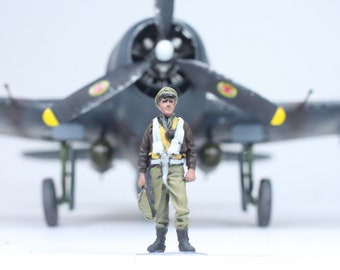 1/6 12インチ アメリカ軍空軍パイロットカスタムフィギュア CS74 1/6 12インチ アメリカ軍空軍パイロットカスタムフィギュア CS74