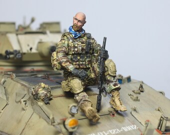 Painted Figure US Special Force Rider Multicam Camouflage 1:35 scale (Built and painted by Professional skills)