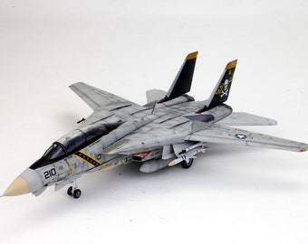 Pode incluir: Um avião modelo cinza e branco com marcas pretas. O avião tem uma caveira e ossos cruzados na cauda e o número 210 no lado.