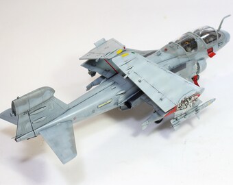 アメリカ海軍 EA-6B プラウラー 1:48 (プロの職人による組み立てと塗装