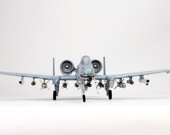 アメリカ空軍A-10サンダーボルトII 1/48スケール プロ仕様モデル（プロ