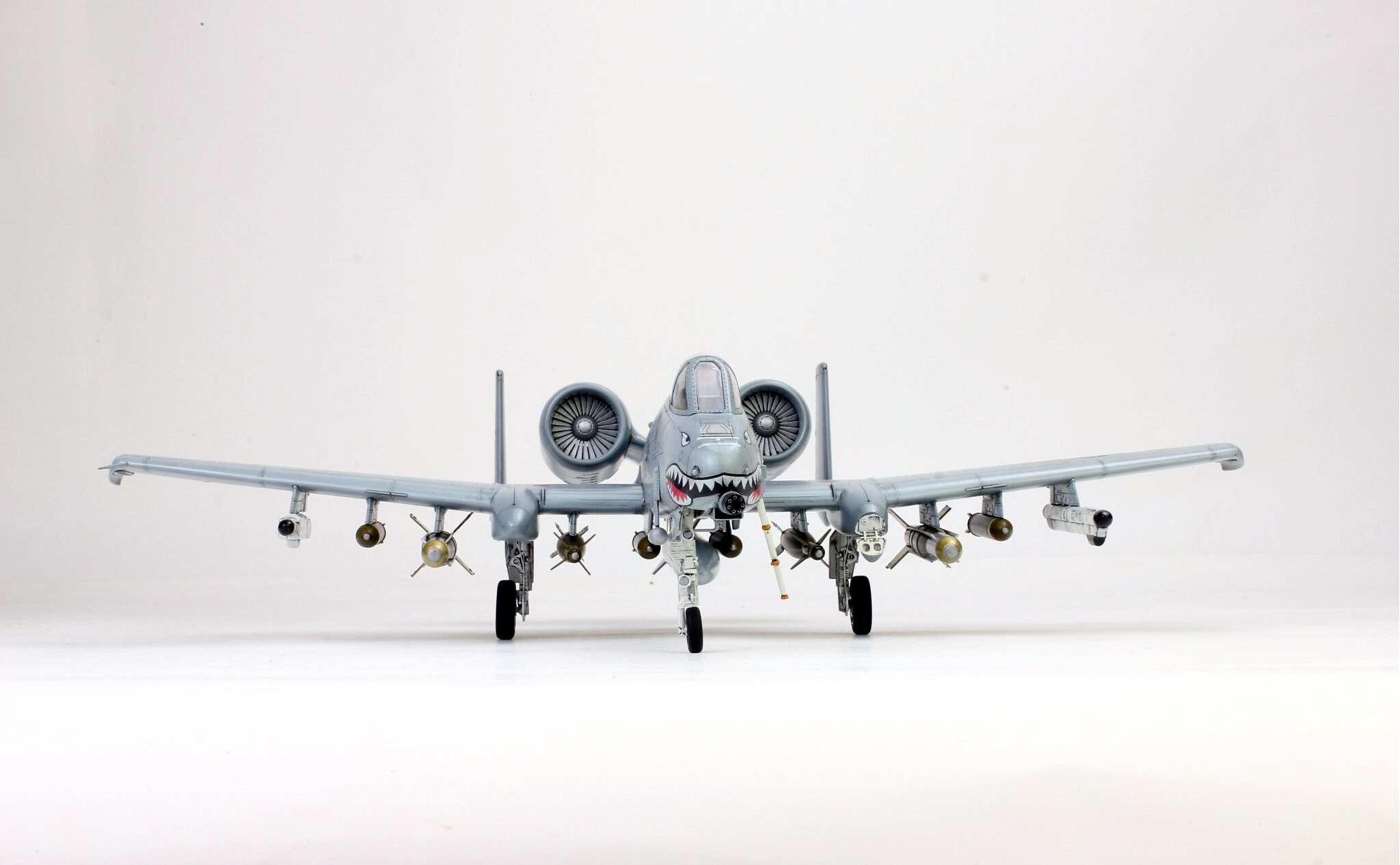アメリカ空軍A-10サンダーボルトII 1/48スケール プロ仕様モデル（プロ