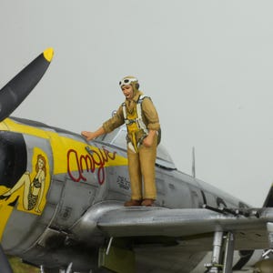 Painted figure US Pilot WWII 1:48 (Built and painted by Professional skills)