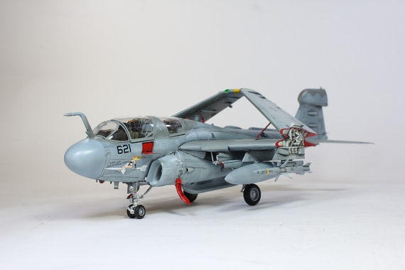 アメリカ海軍 EA-6B プラウラー 1:48 (プロの職人による組み立てと塗装