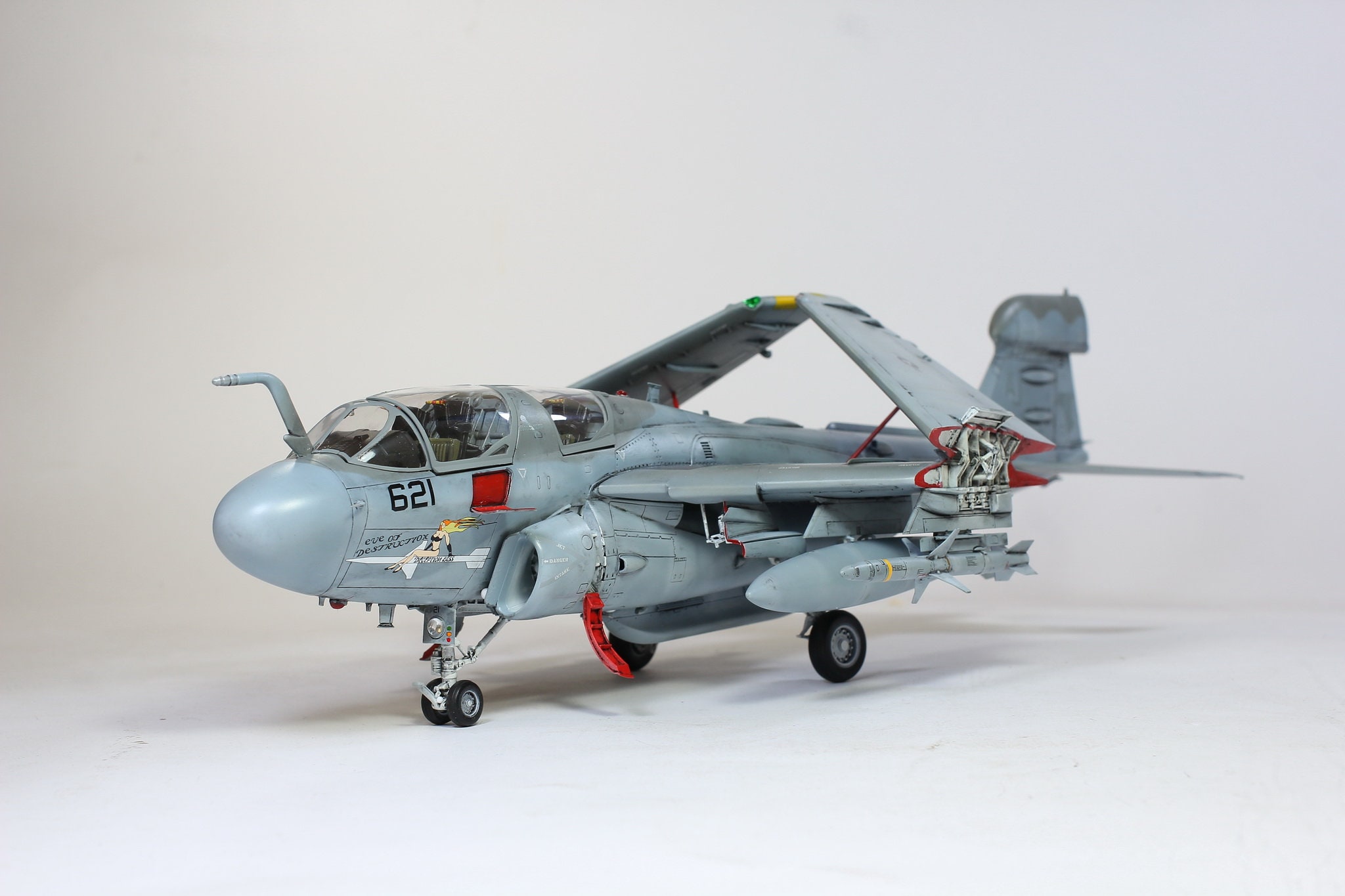 アメリカ海軍 EA-6B プラウラー 1:48 (プロの職人による組み立てと塗装