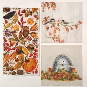 Paper Napkins &quot;Woodland Creatures - Hedgehogs, Crows, Pumpkins, Birds & Toadstools&quot; - set of 3.