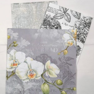May include: A gray background with a white orchid flower design. The text "WHITE PHALAENOPSIS HYBRID" is printed in black. The text "MAIS J'EST EN UN TE, e Mis en Aunque" is printed in black.