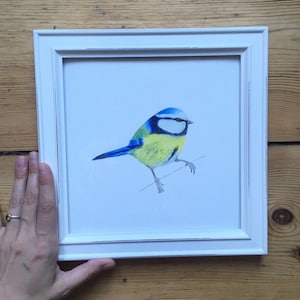 Blue Tit FineArt Print - birdie love