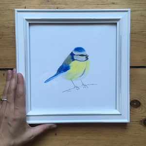Blue Tit FineArt Print - birdie love