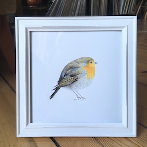 May include: A framed pencil drawing of a robin, a small, common songbird with a bright orange breast, perched on a branch. The robin is facing to the right, with its wings folded and its tail feathers spread out.