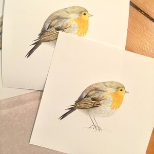 May include: Two detailed pencil drawings of robins on white paper. The robins are depicted in a realistic style with brown, gray, and yellow feathers.