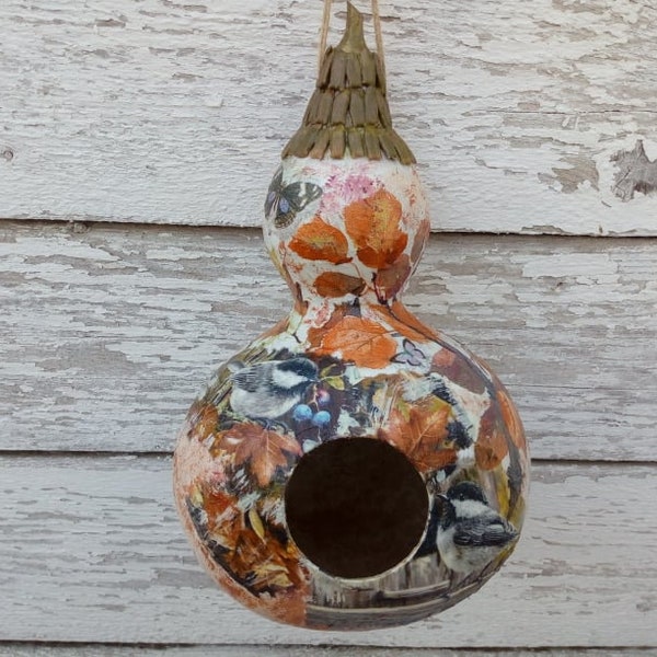 Gourd Birdhouse Etsy