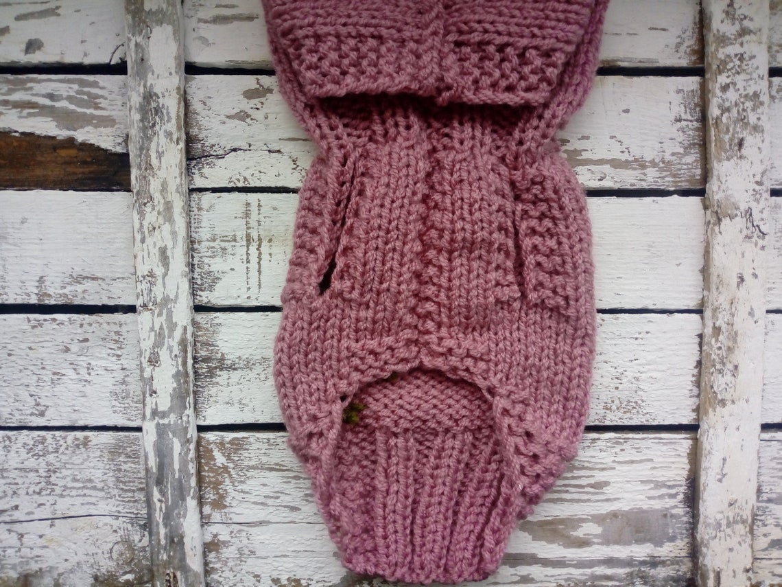 XXXS Xs S M L Xl Rose Pink Dog Sweater With Hoodie Cat Dog Etsy UK
