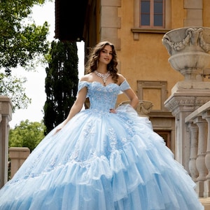 ladies cinderella dress Portrait Collection Cinderella Gown  Only Little Once